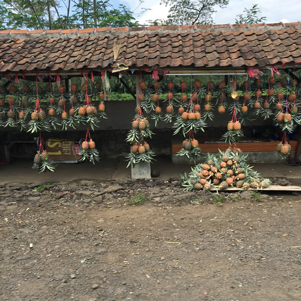 インドネシアの風景